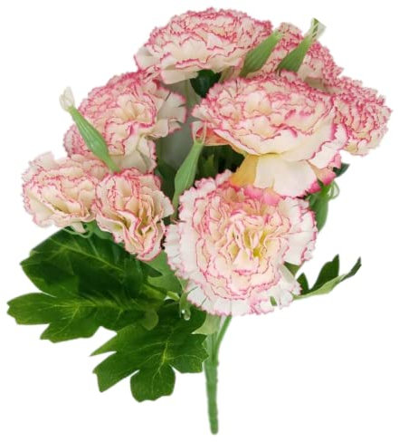 Corkwaw 40 teste di garofani artificiali, ortensie in seta, decorazione per bouquet di ortensie in plastica, pianta adatta per foto, feste di famiglia, decorazione per la casa, bouquet da sposa (bordo