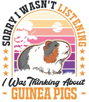 Meerschweinchen Tagesplaner: Meerschweinchen Geschenk Meerschwein / Kalender 2023 & 2024 / Wochenplaner Tagesplaner Planer / Planungsbuch To-Do-Liste / 6x9 Zoll / 100 ausfüllbare Seiten