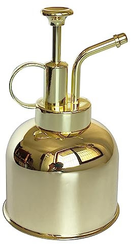 LIANSHI Spruzzatore per piante in acciaio inossidabile, piccolo annaffiatoio per piante, moderni attrezzi da giardinaggio per irrigazione e spruzzatura di piante in vaso