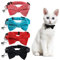Sliverdew 4 Stück Samt-Katzenhalsbänder, niedliche Katzen-Fliege, Halsband mit Glocke, abnehmbare Fliege, Sicherheitshalsband für kleine Welpen, Kätzchen (schwarz, rot, blau, rosa)