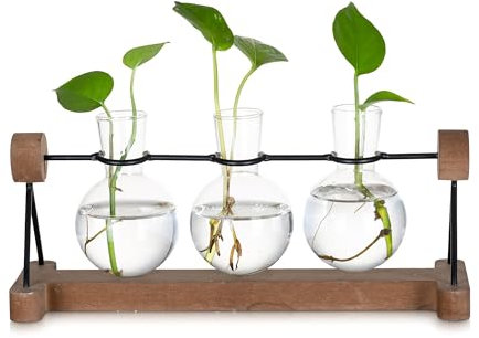 Glasseam Hydrokultur Vase Glas mit Holzständer, 3er Blumen Vasen Deko, Schöne Propagation Station, Kleine Vasen für Tischdeko, Blumenvase Modern Pflanzen Terrarium für Home Wohnzimmer Geburtstag