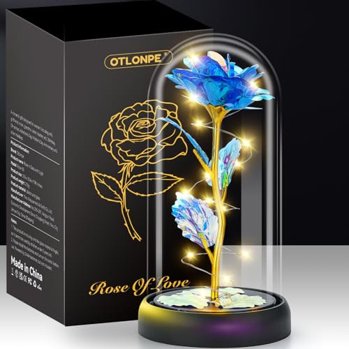 Otlonpe Blumen Geschenke für Frauen Muttertagsgeschenke für Mama, Geburtstagsgeschenk für Frauen Mama Freundin Oma, Ewige Rose im Glas mit LED Licht, Muttertagsgeschenk für Mama Oma (Blau)