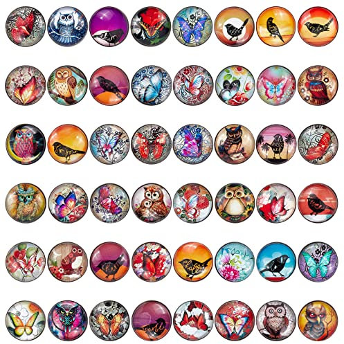 SUNNYCLUE 1 Box 48 Stück Druckknöpfe Schmuck Charms 18 mm Schmetterling Vogel Eule Glas Druckknöpfe Bulk Austauschbare Knöpfe Für Schmuck Lanyard Halskette Armbänder Erwachsen