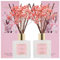 COCORRÍNA Raumduft Reed Diffuser mit 8 Duftstäbchen 200ml, Cherry Blossom, 2 Pack, Natürlich, Langanhaltend, Home Duft für Badezimmer Regal Dekoration