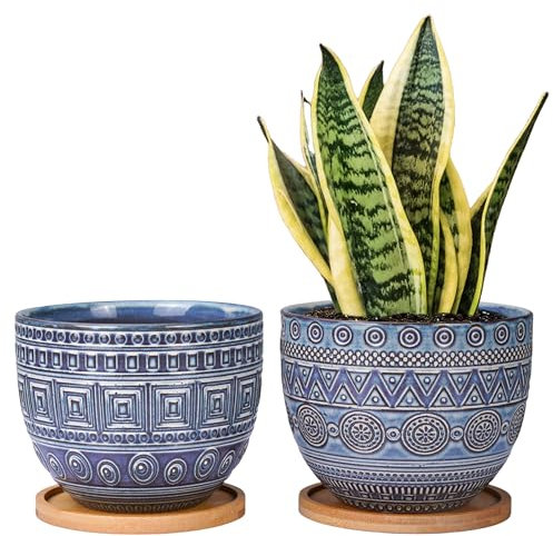 G EPGardening Bluish Planter Lot de 2 Pots de Fleurs rétro en céramique pour Plantes Grasses - Grand Pot de Fleurs Rond pour intérieur et extérieur