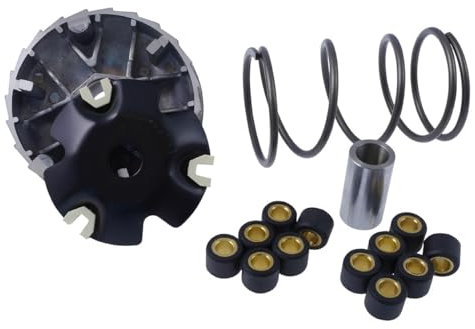 2EXTREME Variomatik Sport mit Gewichten und Gegendruckfeder kompatibel für Rex RS450 4-Takt, GY6