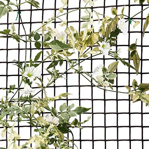 Garden Mile General Purpose Garden Mesh Outdoor Indoor Fencing Plant Support Plastic Mesh Netting for Climbing Plants Protection Allotment Cover Pest Deterrent Heavy Duty Brown - 20mm, 0.5 x 5m
