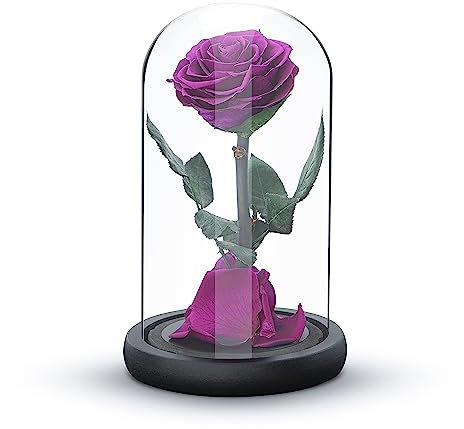 Ewige Rose für Immer, Frische Rose Geschenk, Konserviert für 5 Jahre, Handarbeit, Geschenke für Frauen Geburtstag einzigartig Ungewöhnliche | Muttertag, Jahrestag, Weihnachten Valentinstag (Lila)