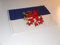 generisch Pommern Fahne/Flagge 30x45 cm mit Hohlsaum