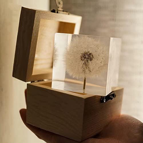 DESHINTKE Briefbeschwerer mit Pusteblume in Würfelform, mit Holzbox, 5,1 cm, transparent, echte Löwenzahn-Dekoration