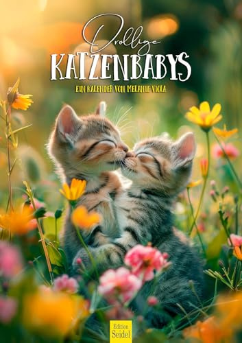 Edition Seidel Premium Kalender Drollige Katzenbabys 2026 Format DIN A3 Wandkalender Katzenkalender Haustiere Kätzchen Katze Kater Kitten Melanie Viola