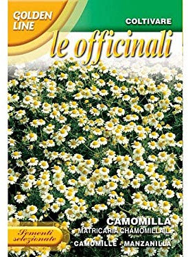 SEMENTI DI CAMOMILLA orto giardino officinale semi seeds