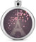 Flacon De Hanche En Acier Inoxydable Fleur De La Tour Eiffel Flasque À Alcool Bouteille De Whisky De Poche Pour Vodka Rum 9x9cm
