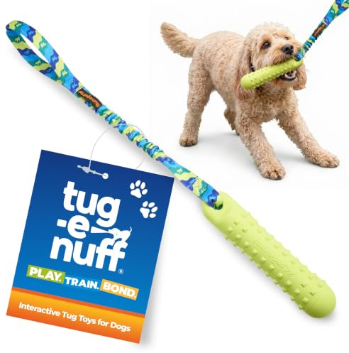 Tug-E-Nuff BOB 3-in-1 Hundespielzeug (Grün) Zerrspielzeug zum Apportieren, Tauziehen und Wasser, wasserdicht, schwimmfähig, Gummi, interaktiv, robustes Hundespielzeug mit Bungee zum Trainieren von