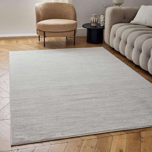 THE RUGS Carmel Modern Area Rug - Stain-Resistant, Non-Shedding, Durable Rugs for Living Room and Bedroom [ Striped Grey, 80x150cm ]
