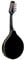 Stagg M50 E BLK guitarra electroacústica mandolina de Bluegrass con parte superior de la OTAN, color negro