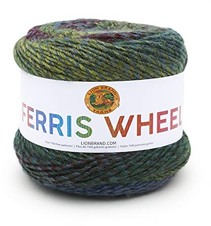 Lion Brand Yarn Company 217-608 Ferris Wheel Garn, Imaginary Garde, One Knäuel