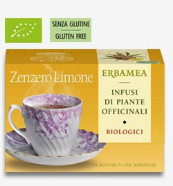 ZENZERO E LIMONE FILTRO BIO - 20 BUSTINE