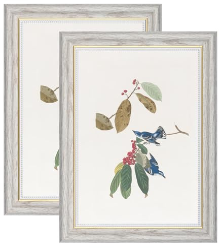 YoHyien Bilderrahmen Vintage A4 2er Set, Retro Fotorahmen zum Aufhängen und Aufstellen, Shabby Chic Postkarten Rahmen für Den Schreibtisch, Picture Photo Frame for Wall (Weiß, 21 x 30 cm)