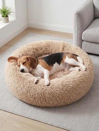 Donut-Hundebett, mittelgroß, waschbar, rund, beruhigend, für Kinder, lindert Angstzustände, flauschiges Plüschkissen, rutschfeste Unterseite, orthopädisch für Kätzchen, verbesserter Schlaf, 70 cm