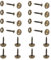 INCREWAY Decorative Brass Mirror Screws - 16pcs with Dome and Washers (15mm)