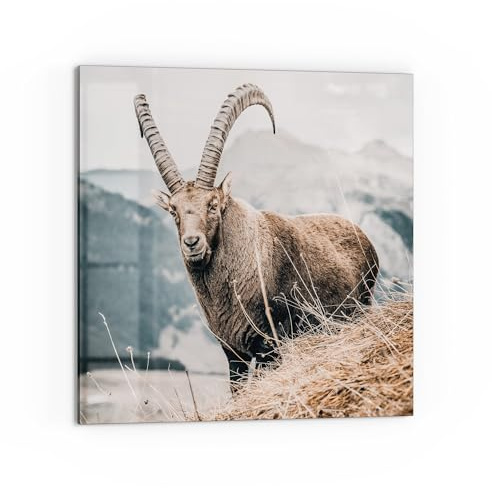DEQORI Küchenrückwand Glas | Motiv Wächter der Berge | 60x60 cm cm | Bad- oder Herd-Rückwand | Herdblende Spritzschutz für Küche & Badezimmer | moderne Deko für Fliesenspiegel