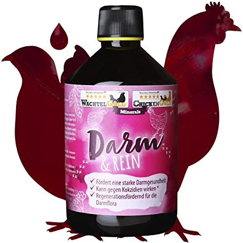federgold® Darm&Rein 500 ml – Flüssiges Ergänzungsfuttermittel zur natürlichen Darmreinigung & Stabilisierung der Verdauung – Mit Kräuterextrakten & Oreganoöl – Für Hühner, Wachteln & Geflügel