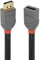 LINDY 36498 3m DisplayPort Verlängerungskabel, Anthra Line