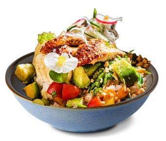 Topkapi Poke Bowl Fit & Fun Küche 351.010: Poke Bowl Schüssel Coral, echtes Hartporzellan, ~21 cm, XL ~1220 ml, Handbemalt, Spülmaschinenfest, 1 Stück