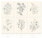 Dazzlewall Vintage Blumen Leinwand Bilder, Minimalistische Botanische Kunstdrucke Wandposter für Schlafzimmer Wohnzimmer Dekor 20x25 cm Ohne Rahmen 6er Set