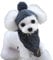 Pet Beanie Mütze Halsband Schal Set, gestrickt, warm, Winterkleidung für Hund und Katze (Größe M, dunkelgrau)
