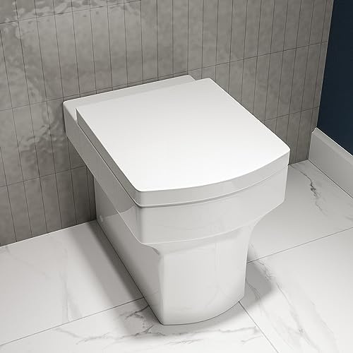 Ashford Back to Wall Rimless Toilet and Soft Close Seat