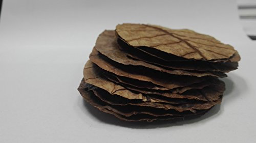 Naturfutter Set - Garnelenfutter Blätter, Sticks & Laub - Seemandelbaum/Walnussbaum/Spirulina/Paprika