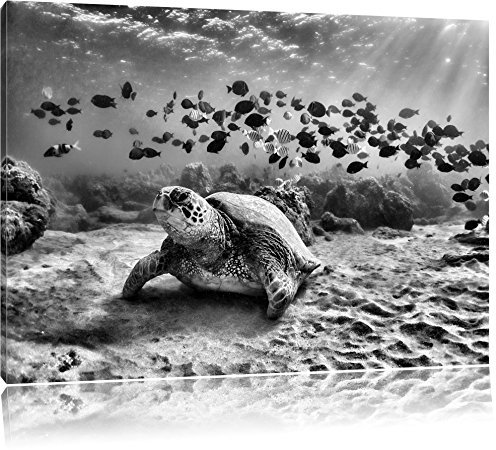 Pixxprint Monocrome, Ninja Turtles, Größe: 80x60cm, Leinwandbild, fertig gespannt, Wandbild, Dekoration, Kunstdruck, kein Poster