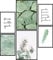 Papierschmiede® Mood Poster Set Eukalyptus light, Bilder Wohnzimmer Deko Schlafzimmer, 2x DIN A4 und 4x DIN A5, Zweige Grün Blätter Liebe - ohne Rahmen