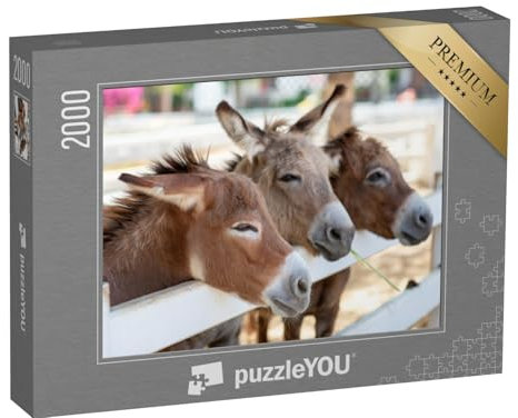puzzleYOU: Puzzle 2000 Teile „DREI neugierige Esel am Zaun“