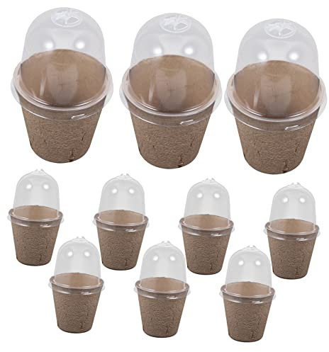 UPKOCH 10 Stück Papp Nährstoffbecher mit Anzuchttöpfe Papier für Gartenpflanzen für Früchte und Gemüse