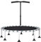 Jumpsport-Trampolin für Erwachsene, Calmmax Rebounder mit Beingurten, Saugnäpfen und federloser elastischer Schnur für Zuhause, Fitnessstudio, Indoor-Outdoor-Training, 102 cm