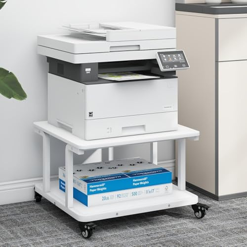 PUNCIA Druckertisch mit 2 Ebenen Druckerständer auf Rollen 60 x 50 cm | Fläche Mobiler Druckerwagen mit Bremsen aus Holz & Metall Druckerregal für Drucker Scanner Kopierer Büro Schule Weiß