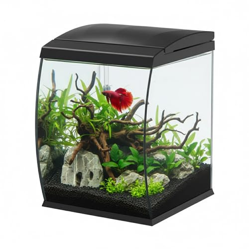 AQPET Curve Aquarium aus gebogenem Glas, 35 l, mit integriertem oberen Filter und 6 W LED – Design-Schreibtisch-Aquarium mit Pumpe und Deckel für automatischen Futterspender (schwarz)
