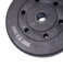 mymixtrendz Standard Weight Plates Weight Plates Set 5kg,10kg 1.25kg,2.5kg, (Choice of Sizes) for 1 Dumbbell Plates Only (5 Kg Pair.)