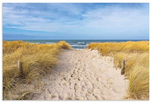 ARTland Wanddeko Wandbild Alu Verbundplatte für Innen & Outdoor Bild 120x80 cm Landschaften Strand Küste Idyll Sand Gräser Ostsee Graal Müritz U4ZF