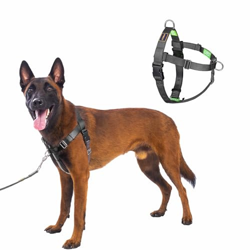 APDEXY Freedom No Pull Dog Harness, Front Clip, Easy Walk, Dog Friendly with 2 Stainless D-Rings, Sewn-in Instructions Tags for Easy Use, for Large Dogs Weight 60-80 lbs (Black, L)