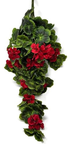 AFS 80cm Artificial Trailing Geranium - Colour Choice - Hanging Basket Wedding Flower Decorations (Red)