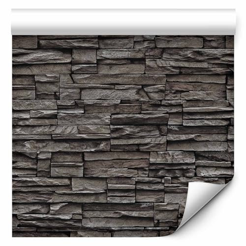 murando - Tapete selbstklebend 10m Wandtattoo dekorative Möbelfolie Dekorfolie Fotofolie Panel Wandaufkleber Wandposter Wandsticker - Steine Steinwand Steinoptik Schwarz f-A-0020-j-c