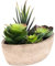 ABOOFAN Piante Grasse Artificiali Composizioni di Piante in Vaso Centrotavola Finto Cactus Succulente per Scrivania