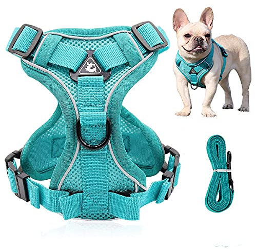 1 Large No-Pull Dog Harness and Leash Set - Front Clip Reflective Training Vest with Adjustable Step In Design - Breathable Mesh for Big Dogs and Cats - Ideal for Walking and Obedience Training
