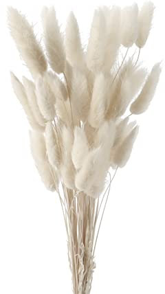 Herbe de Queue de Lapin Séchée, FENGCHUANG-Herbe De La Pampa Fleurs Séchées, 50 Pcs Ne Se Fanent Jamais Fleur Sechees pour Décoration de Maison, Mariage (Blanc)