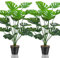 Lighterday Set mit 2 Kunstpflanzen Groß Künstliche Pflanzen Kunstpflanze Fake Plant,Kunstpflanzen Wie Echt,Plastik Pflanze Hoch für Büro,Zuhause,Drinnen und Draußen Deko (Kleine Monstera)