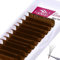 Easy Fan Color Volume Eyelash Extensions Brown 0.07mm D Curl 8-14mm FADVAN Color Lashes Individual Lashes Extensions 3D 4D 5D 6D 8D 10D Russian Self Fanning Volume Eyelash (Brown 0.07-D, 8-14mm)